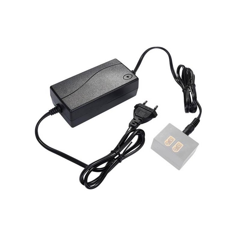 Choix du pêcheur - Chargeur Batterie de Rechange Lithium ION Carp Royal sans Adaptateur de Charge
